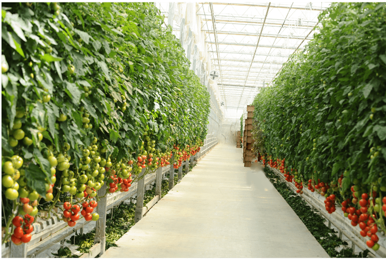 Agricultural Applications.